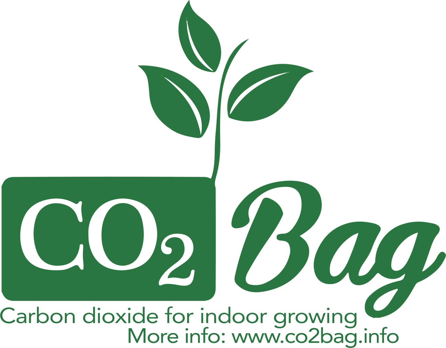 Co2 Bag