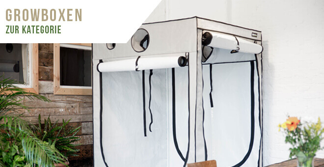 Alle qualitativ hochwertige Marken Growboxen und Growzelte zu einem guenstigem Preis