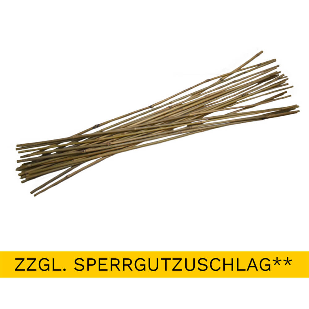 Bambusstab 120 cm Set