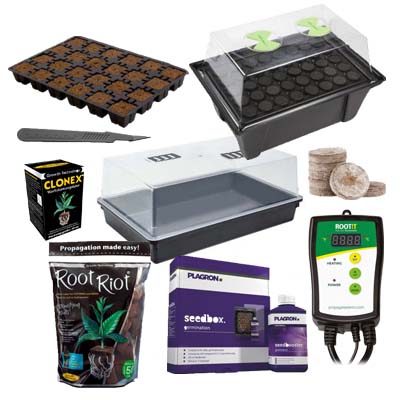 gärtnerbedarf stecklinge