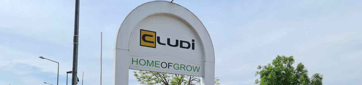 Werbeausleger Cludi Headshop