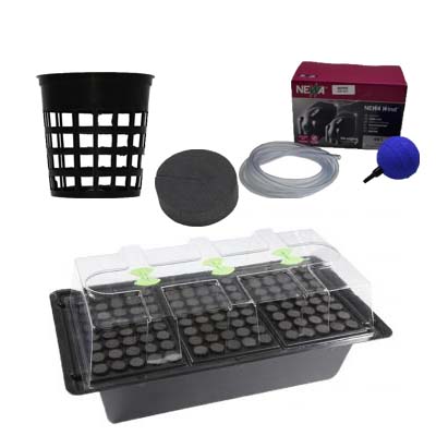 bewässerung aerosysteme