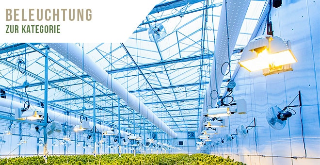 growversand grow beleuchtung