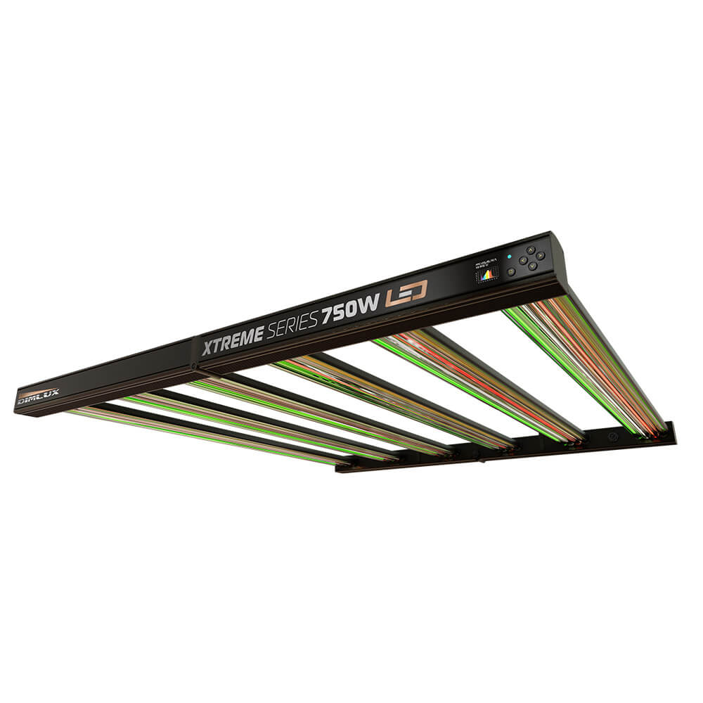 Dimlux Xtreme Series LED 750W