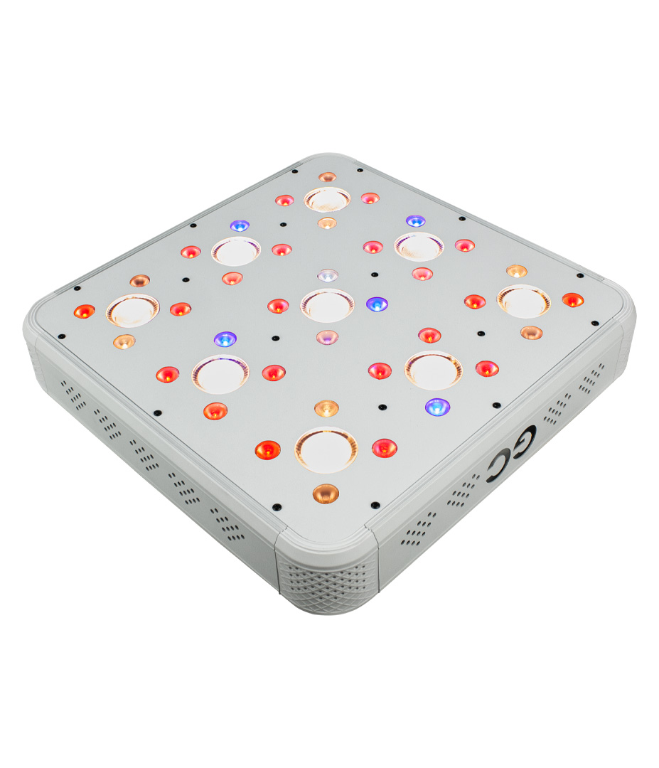 Growversand greenception GC9 an