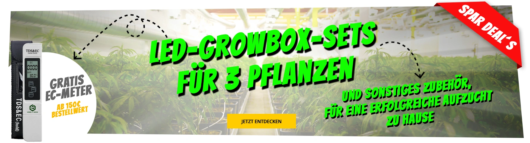 Growversand Banner 3 Cannabispflanzen für jeden